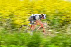 Roubaix